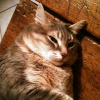 Photo de Lucie