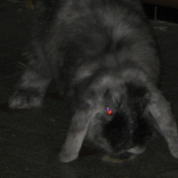 Photo de profil de Woolwich