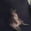 Photo de Lilou