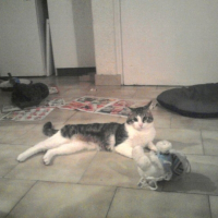 Photo de profil de Shoupy