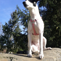 Photo de profil de Ange