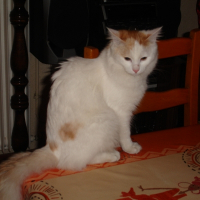 Photo de profil de Poutssy
