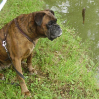 Photo de profil de Tina