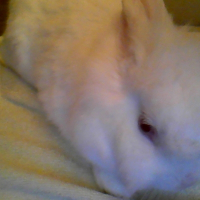 Photo de profil de Ruby