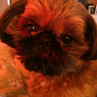 Photo de profil de Caramel