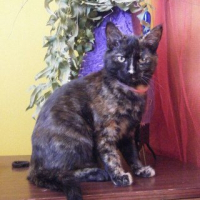 Photo de profil de Zara 