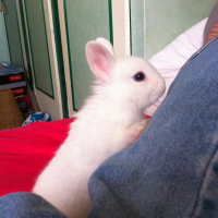 Photo de profil de Neige