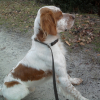 Photo de profil de Bisby