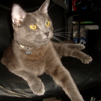 Photo de profil de Fax