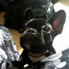 Photo de Guapa