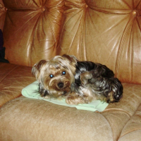 Photo de profil de Elfy
