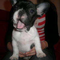 Photo de profil de Guessy