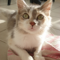 Photo de profil de Gaby