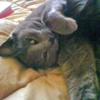 Photo de profil de Iris