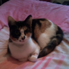 Photo de Princess