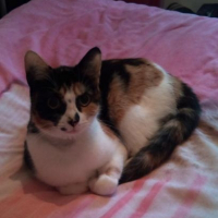 Photo de profil de Princess