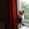 Photo de Tinks (pretty girl)