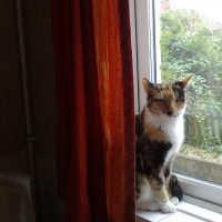 Photo de profil de Tinks (pretty girl)