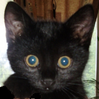 Photo de profil de Babata