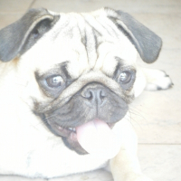 Photo de profil de Genny