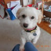 Photo de Lucky1