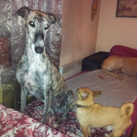 Photo de profil de Luna