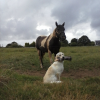Photo de profil de Glazik
