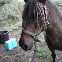 Photo de profil de Bétina