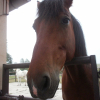 Photo de Spirit