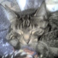 Photo de profil de Oceane