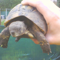 Photo de profil de Ptite lilie 
