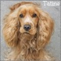 Photo de profil de Gaspard
