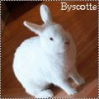 Photo de profil de Byscotte