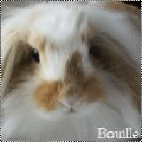 Photo de profil de Bouille