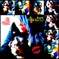 Photo de profil de Charlie 