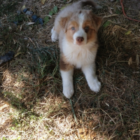 Photo de profil de Haya