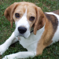 Photo de profil de Benjy