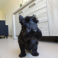 Photo de profil de House