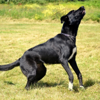 Photo de profil de Maya