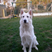 Photo de profil de Foebe 