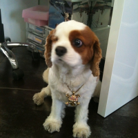 Photo de profil de Elfy