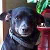 Photo de Balou