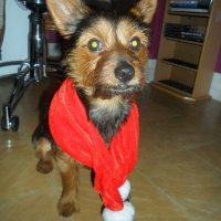 Photo de profil de Bouba