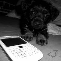 Photo de profil de Beuddy