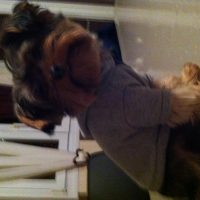 Photo de profil de Diesel