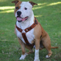 Photo de profil de Ekon