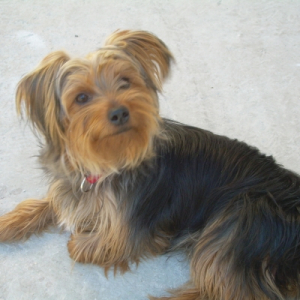 Photo de profil de Berni