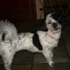 Photo de Lola 