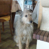 Photo de Gladis