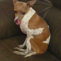 Photo de profil de Adibou